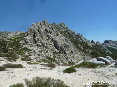 Circo de La Pedriza;viajes aventura tejo arbol rutas por la sierra de madrid